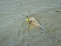 DSC08569