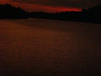 DSC08666