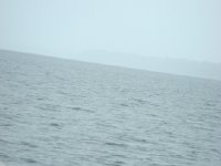 DSC08678