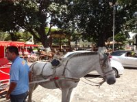 DSC00263