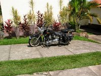 IMG 0003